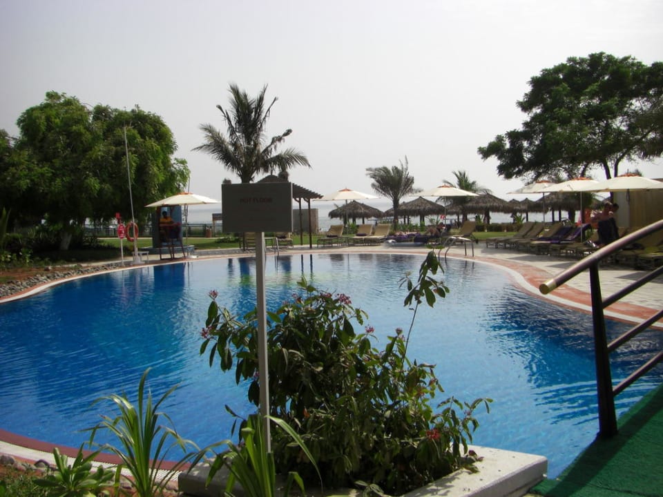Pool Hotel Le Meridien Al Aqah Beach Resort