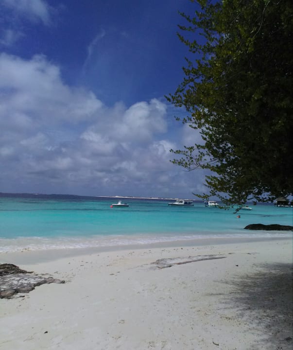 Strand Veligandu Maldives Resort Island