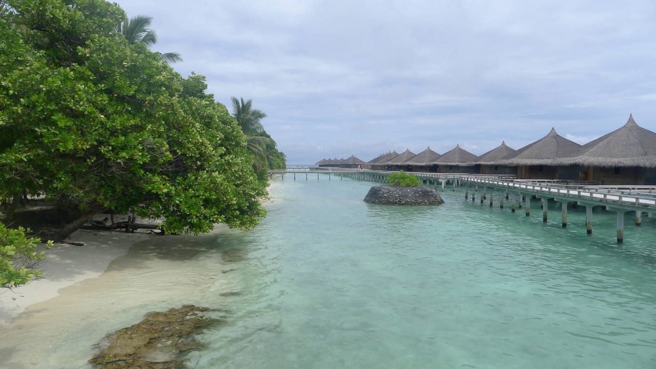 Wasservillas: Wasser hier nicht zum Baden geeignet Kuramathi Maldives