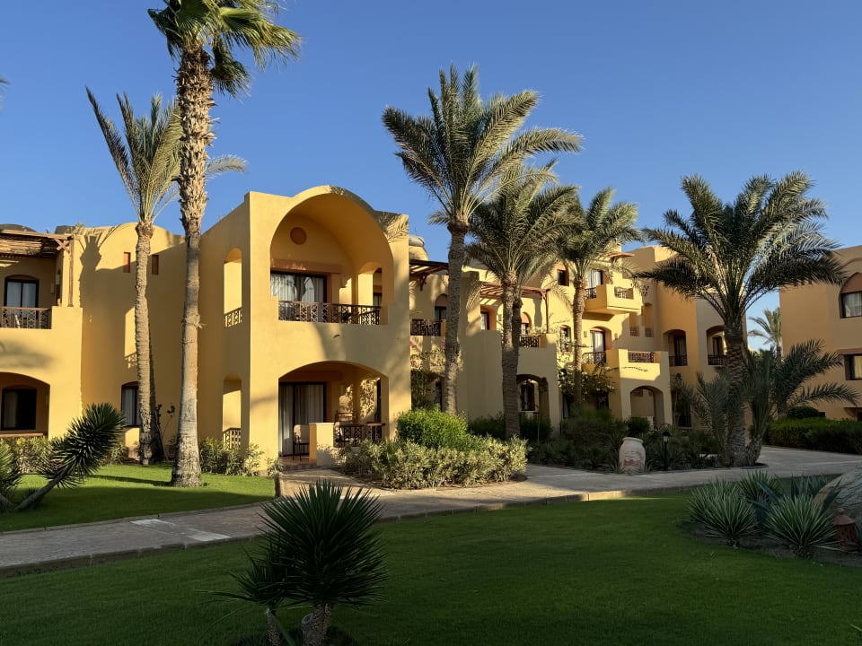 Zimmer Steigenberger Coraya Beach - Adults only