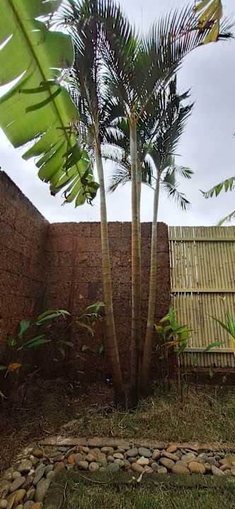 Gartenanlage voco Quang Binh Resort by IHG