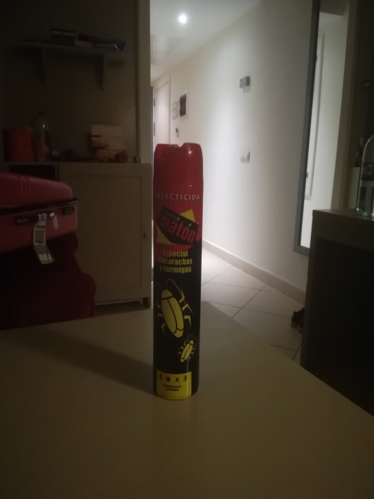 Zimmer allsun App.-Hotel Albatros