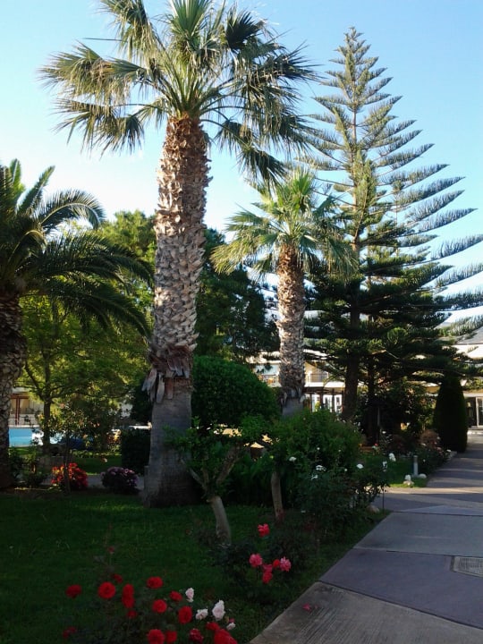 Weg zum Haupthaus Phãea Cretan Malia