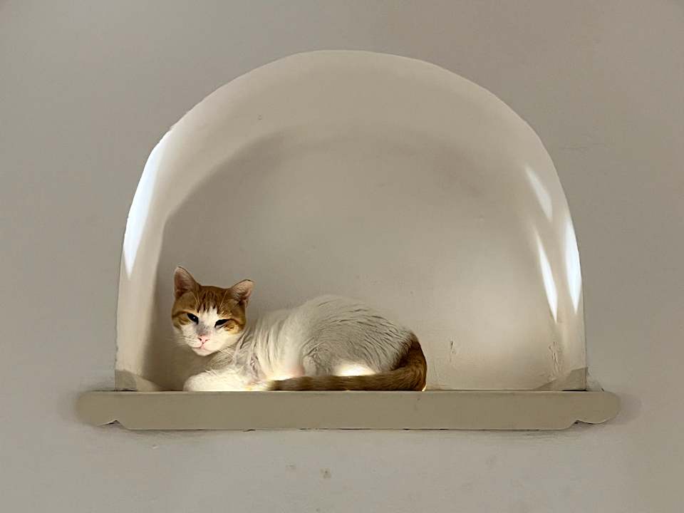 Außenansicht Arabella Azur Resort