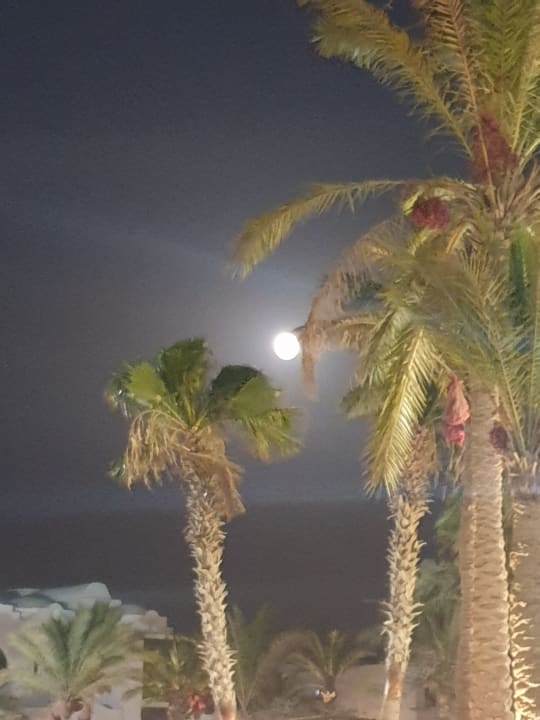 Ausblick Arabella Azur Resort