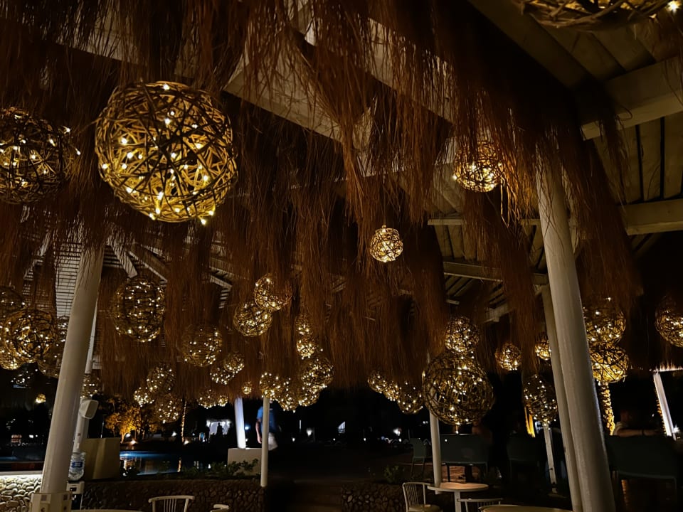 Sonstiges Desert Rose