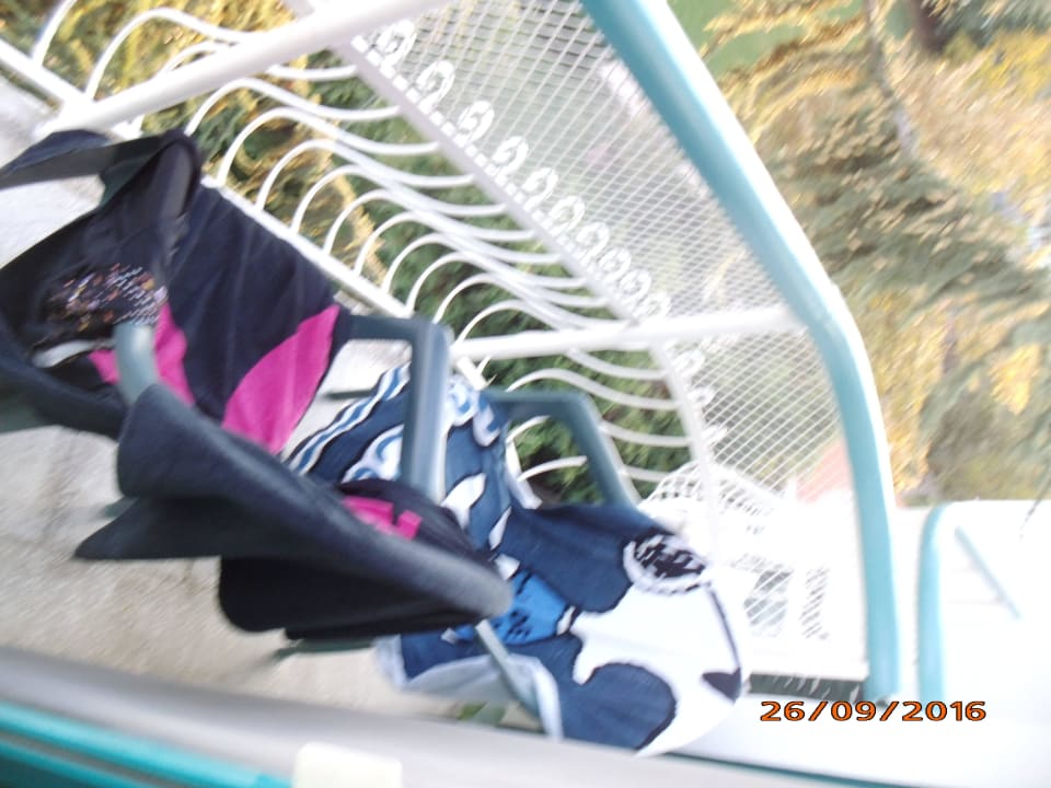 Balkon ging nicht wegen kakerlaken und  bremsen Hotel Zefir Beach