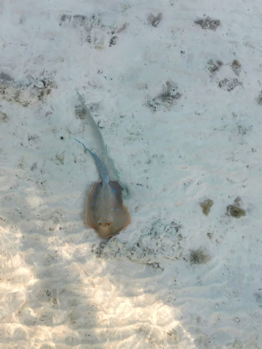 Strand Casa Mare Resort