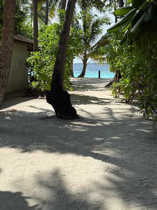 Zimmer Vilamendhoo Island Resort & Spa