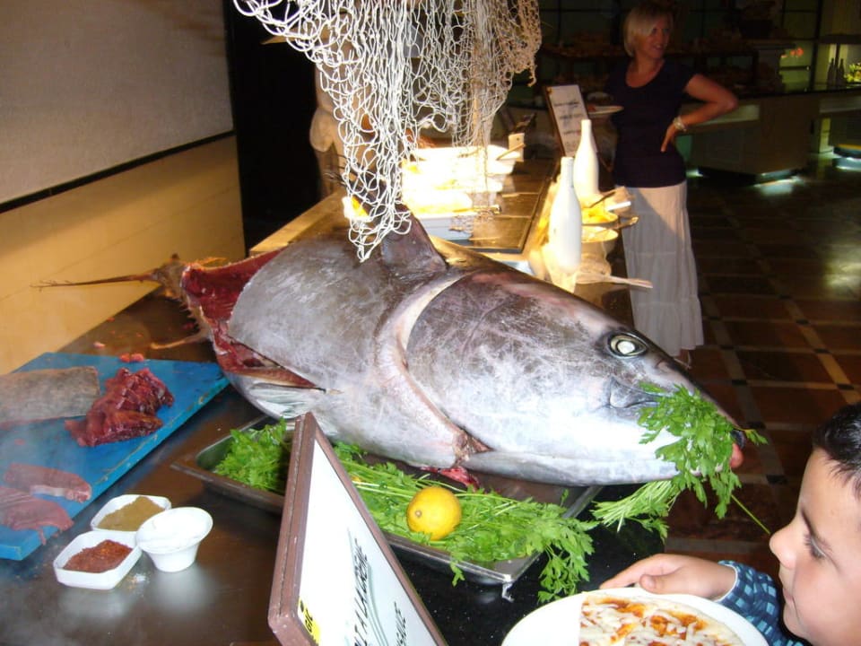 Frischer Thunfisch  TUI MAGIC LIFE Africana