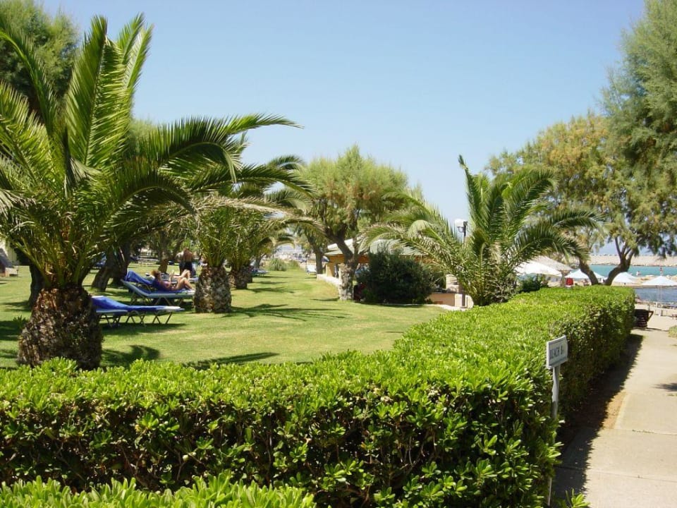 Liegeplatz Phãea Cretan Malia