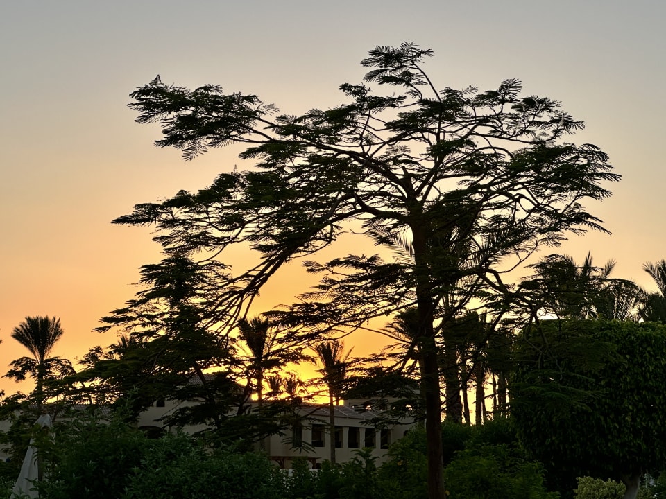 Sonstiges Cleopatra Luxury Resort Makadi Bay