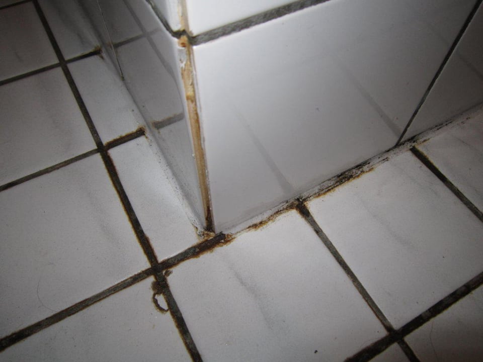 Bad Camping- und Ferienpark Markgrafenheide