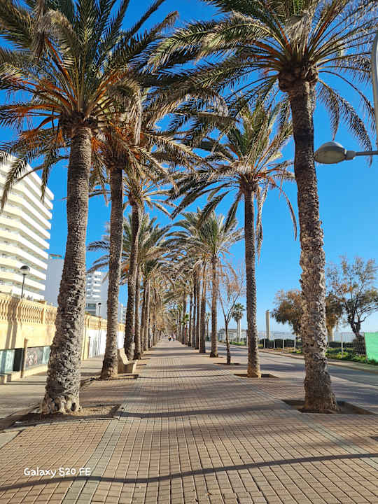 Sonstiges allsun Hotel Pil-lari Playa
