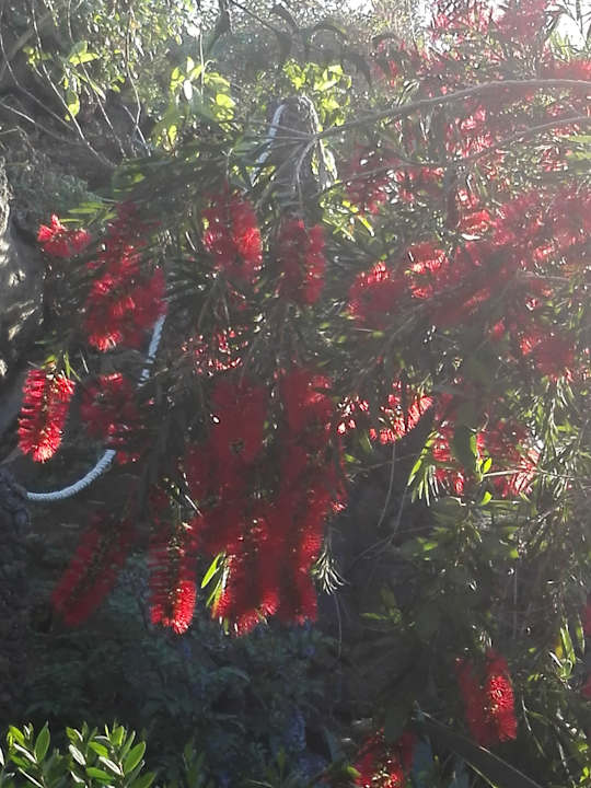 Gartenanlage Jardin Mariposa Retreat- und Seminarzentrum