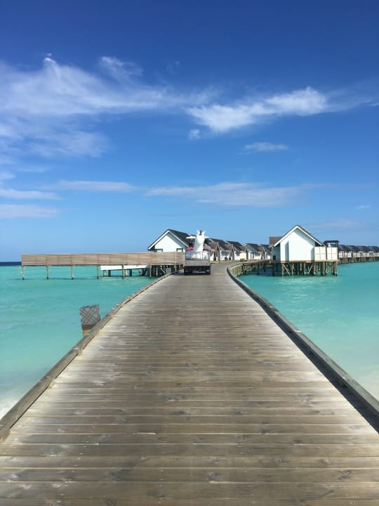 Gartenanlage OZEN LIFE MAADHOO