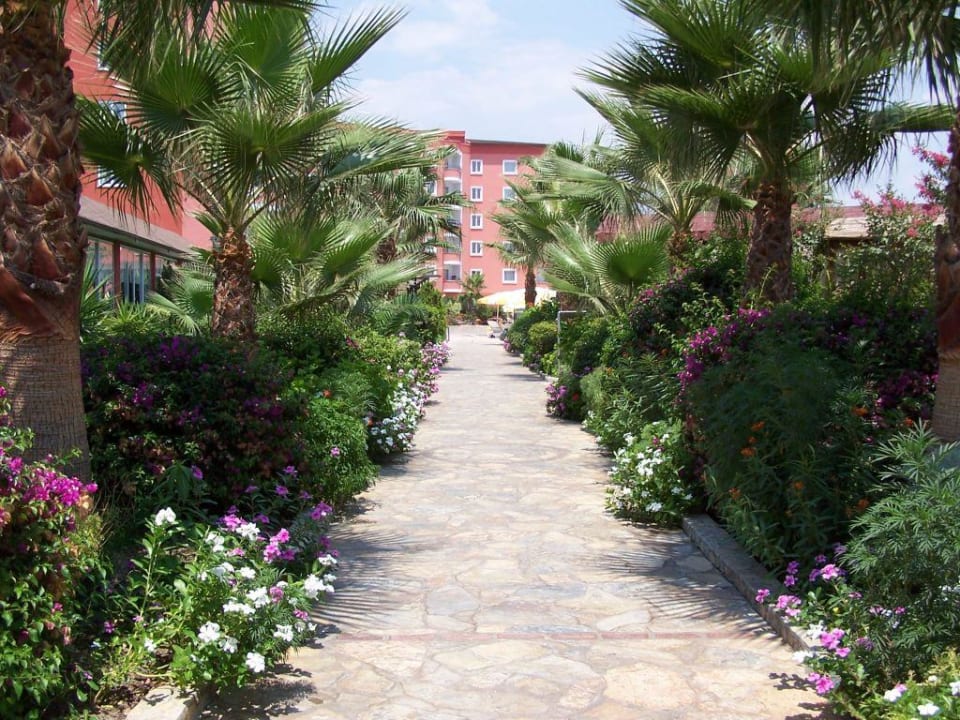 Gartenanlage Hotel Royal Garden Beach