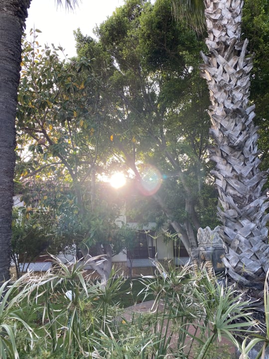 Gartenanlage Ali Bey Club