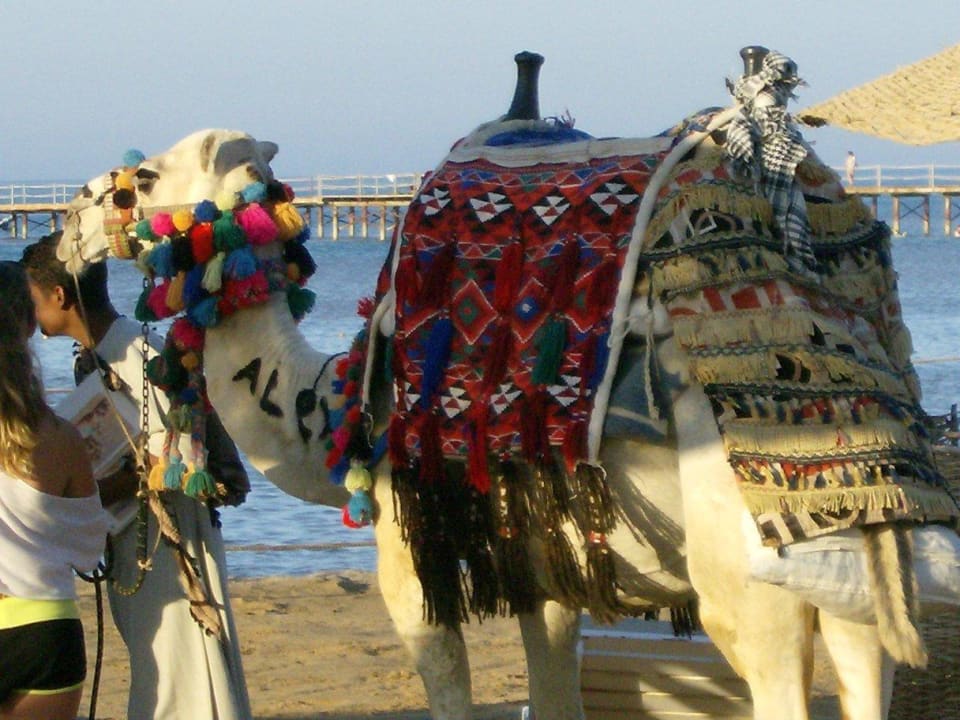 Schönes Hotel. Hier kann man super Urlaub machen . Riviera Aqua Park Resort