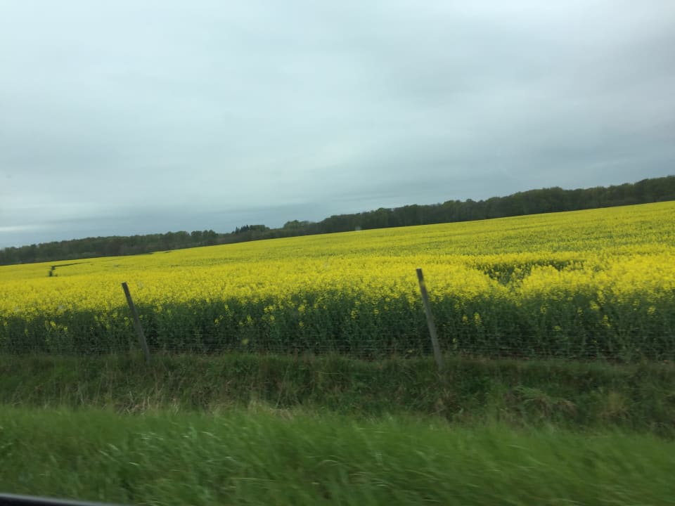 Außenansicht Landhaus Ostseeblick