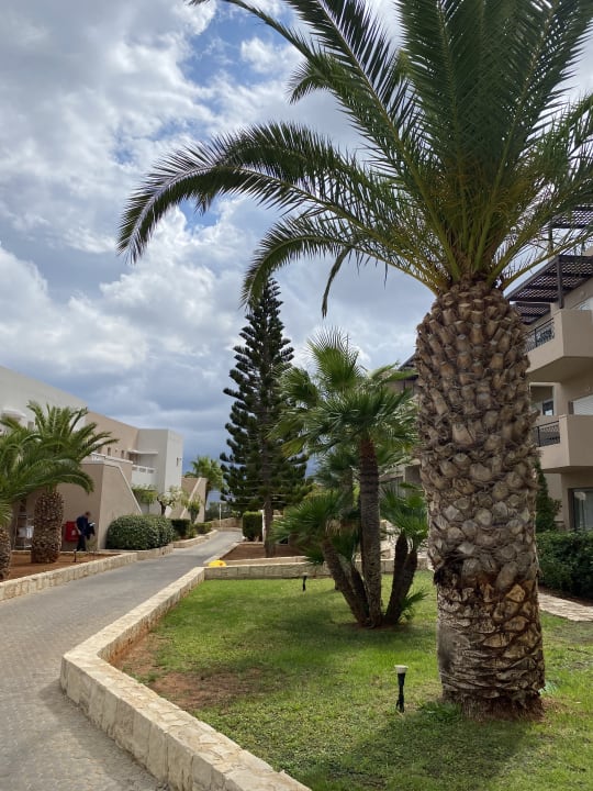 Gartenanlage Grand Hotel Holiday Resort