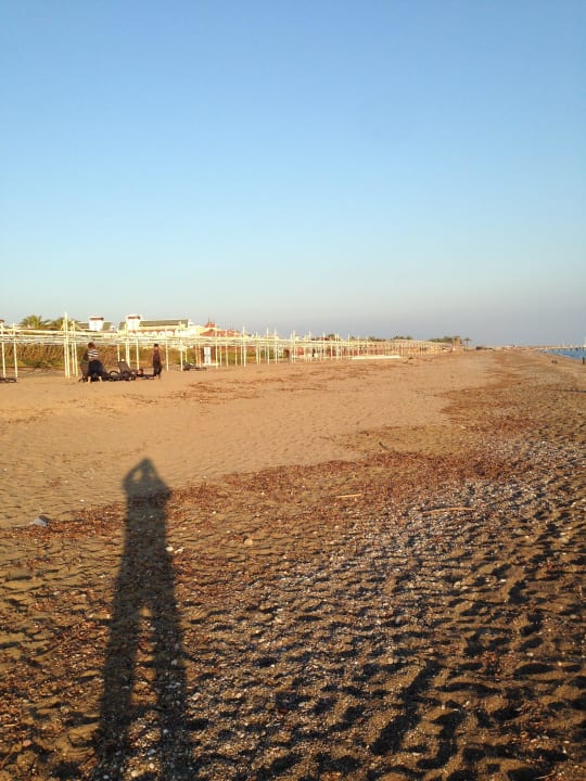 Upps, mein Schatten Sherwood Dreams Resort