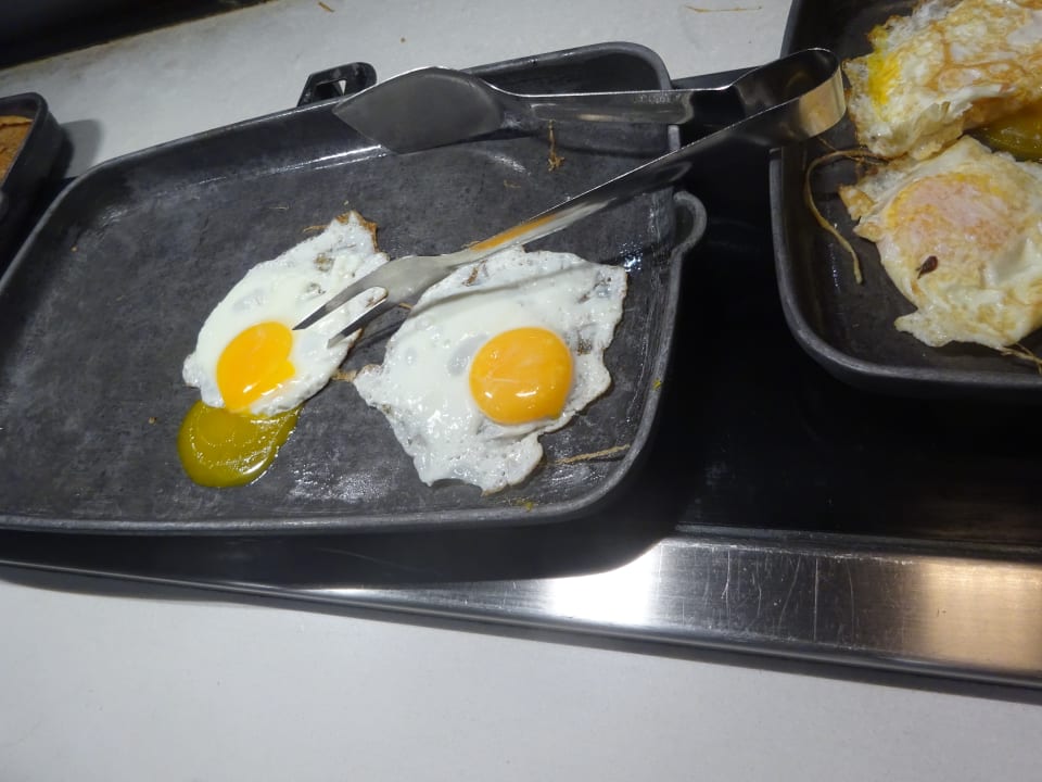 Gastro Alcudia Garden Aparthotel