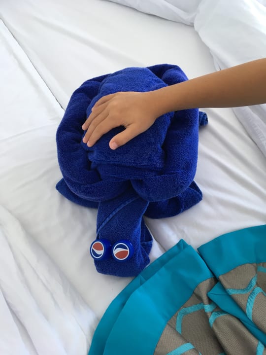 Zimmer Sentido Marea