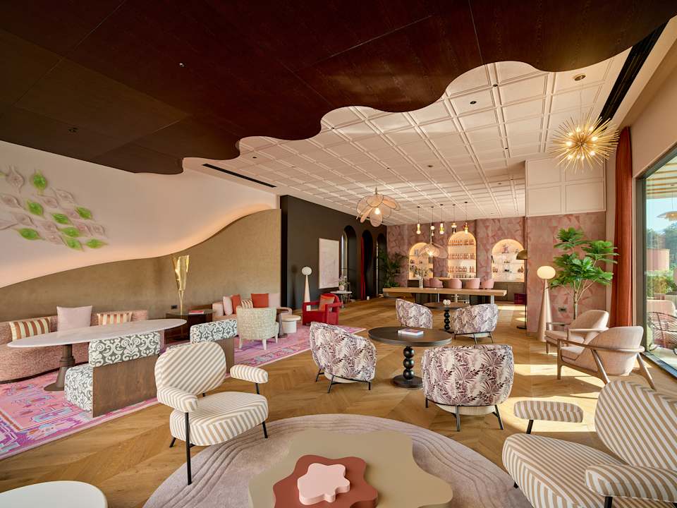 Gastro XO Cape Arnna