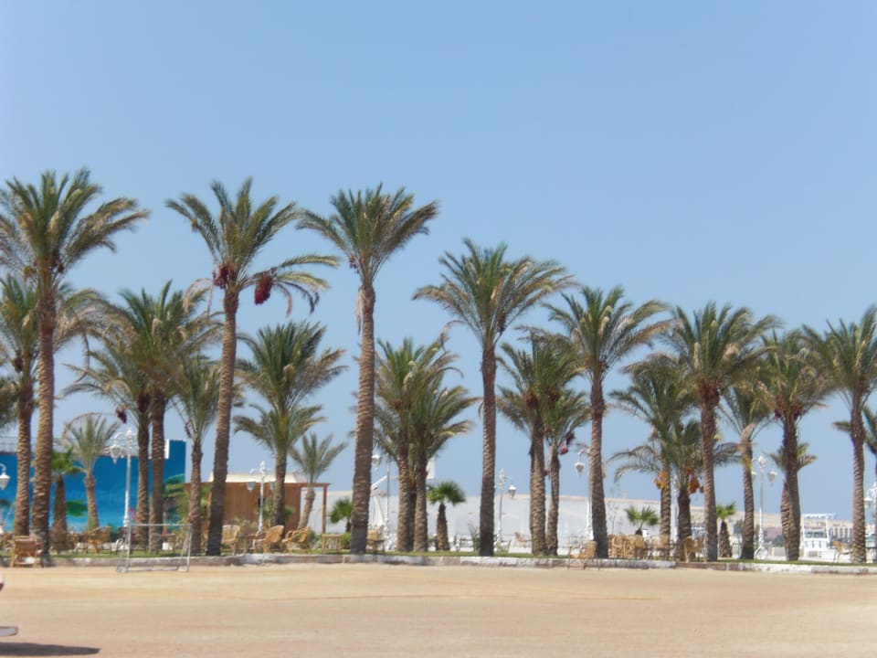 Strand The Grand Hotel Hurghada