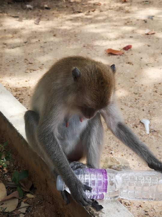 Sonstiges Peace Laguna Resort and Spa