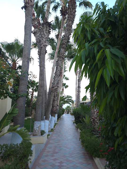 Gartenanlage Hotel Paradis Palace