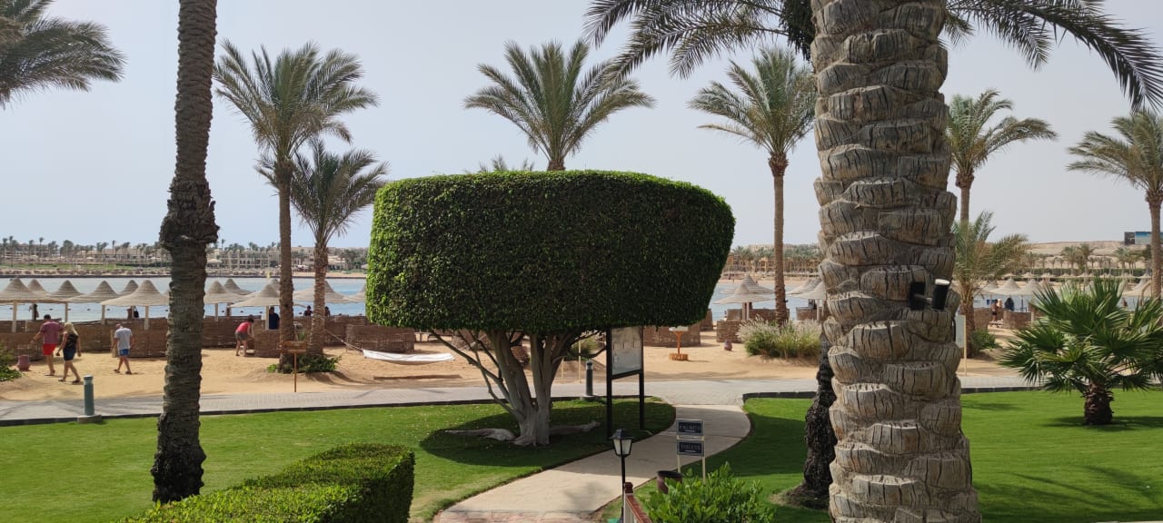 Ausblick Steigenberger Coraya Beach - Adults only