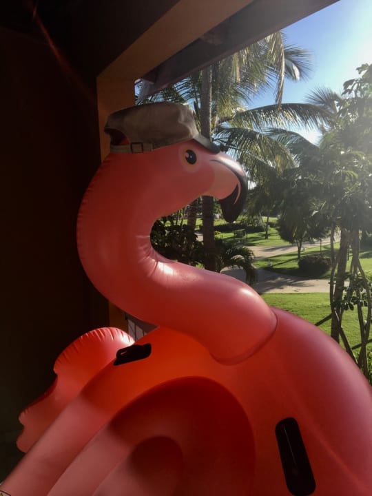 Gartenanlage Punta Cana Princess All Suites Resort & Spa