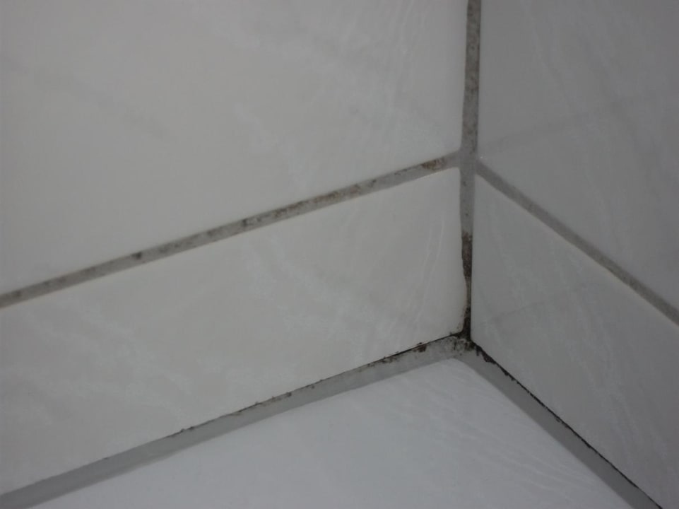 Badecke Ferienpark Landal Salztal Paradies