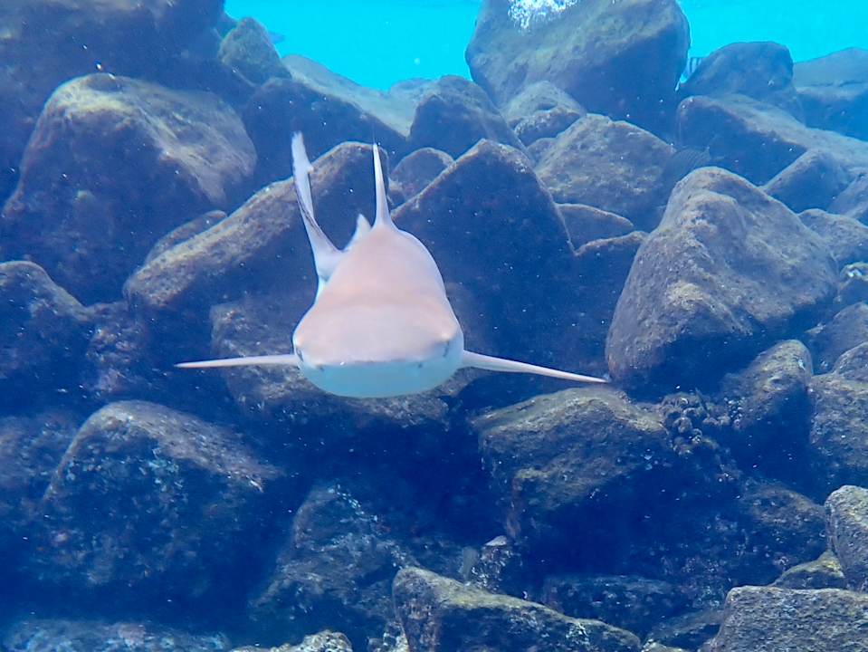 Strand Dreamland The Unique Sea & Lake Resort / Spa