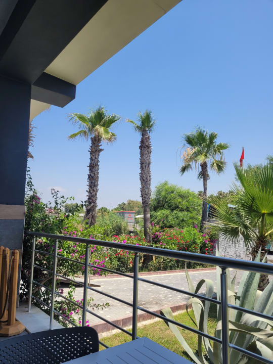 Ausblick Dream World Palace Hotel