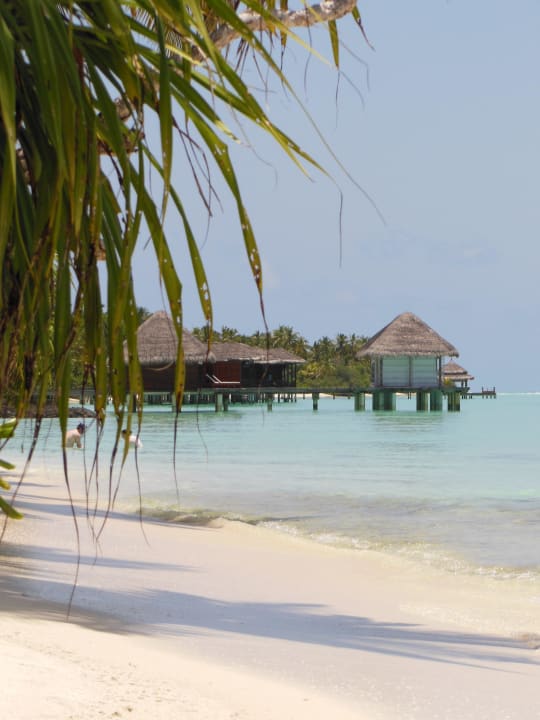 Das Spa ... Kuramathi Maldives