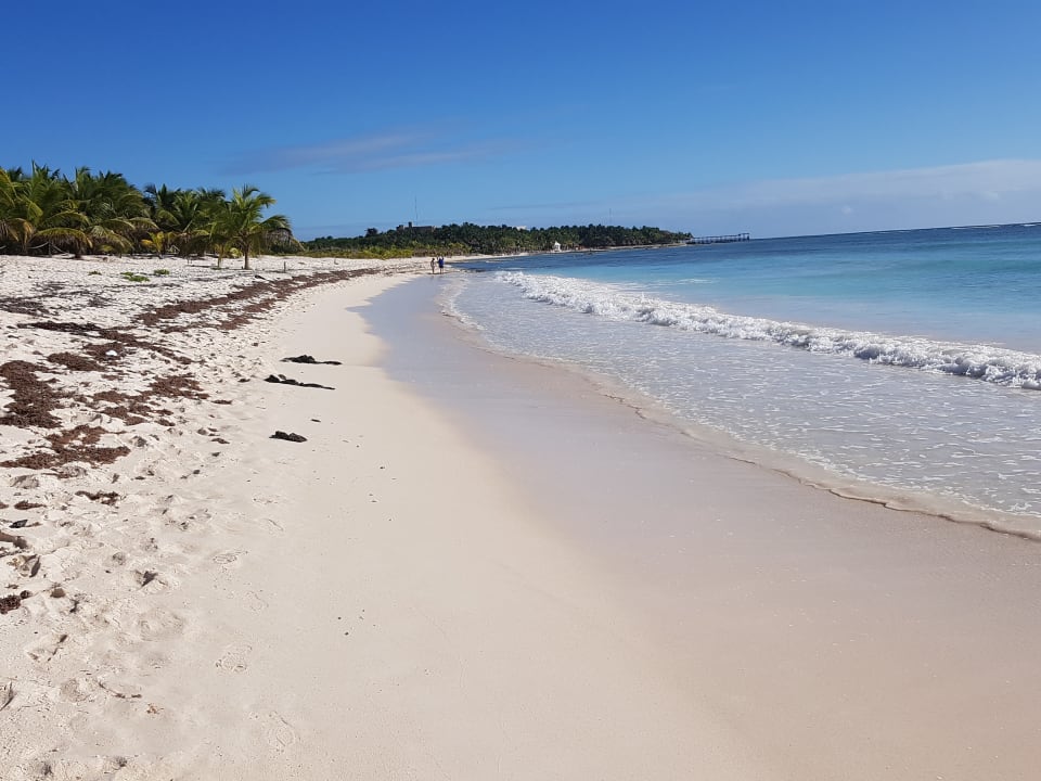 Strand TUI BLUE El Dorado Seaside Suites