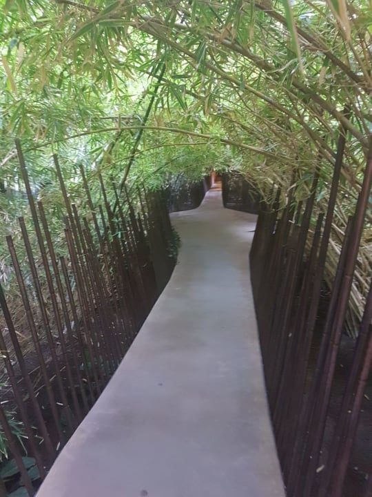 Gartenanlage Lopesan Baobab Resort