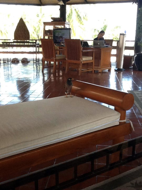 Pavillion - hier können Ausflüge gebucht werden Cape Panwa Hotel