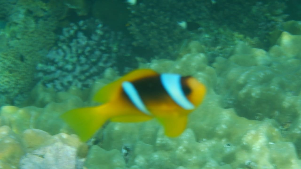 Sport & Freizeit Malikia Resort Abu Dabbab