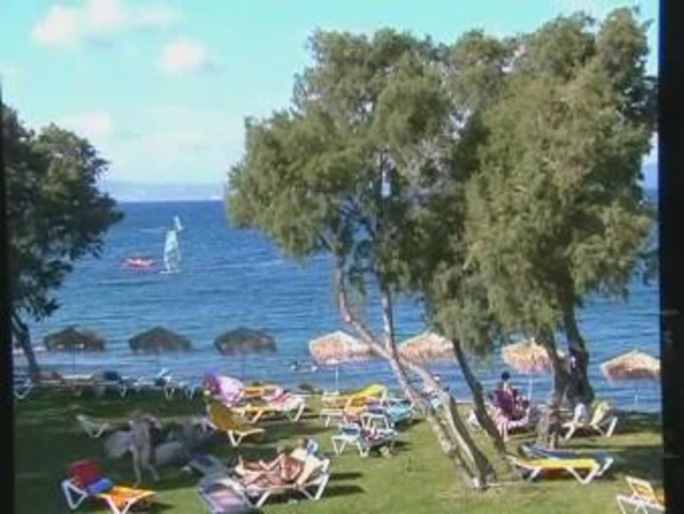 Liegewiese am Strand TUI BLUE Oceanis Beach and Spa Resort