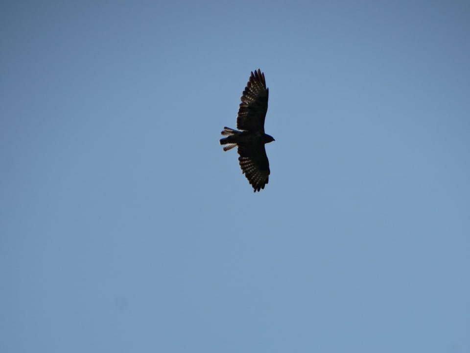 Sonstiges Ferienhaus Stockli