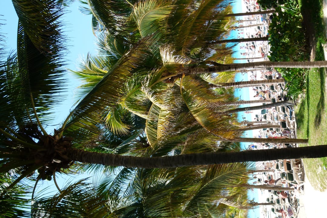 Strandbereich Hotel Riu Tequila