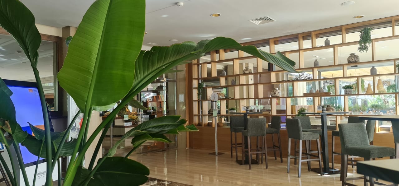 Gastro allsun Hotel Bella Paguera