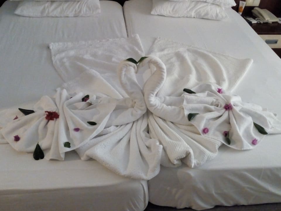 Zimmer Belek Beach Resort Hotel