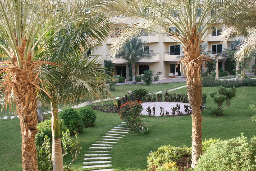 Вид из номера  Amwaj Beach Club Abu Soma Resort
