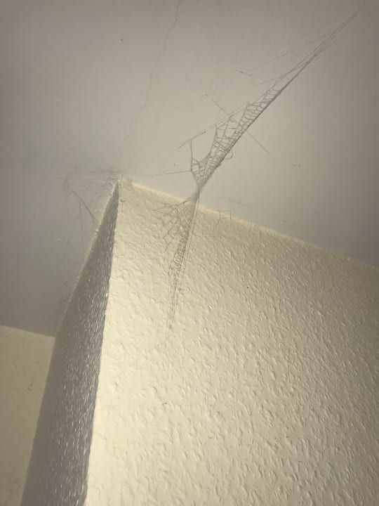 Zimmer Ferienwohnungen Ferienpark Weissenhäuser Strand