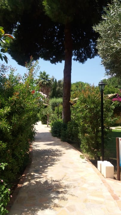 Gartenanlage BV Borgo del Principe